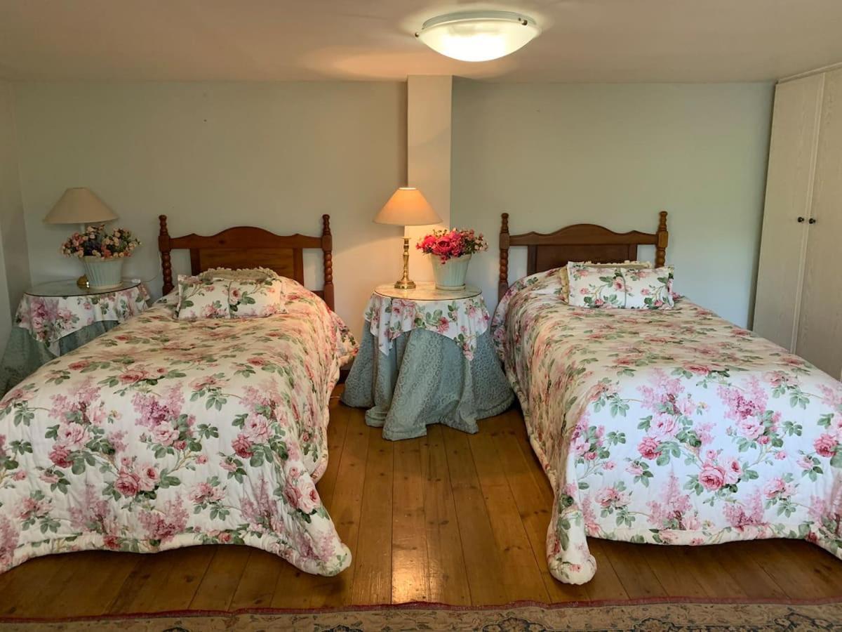 Mountain Rose Guesthouse Louis Trichardt Εξωτερικό φωτογραφία