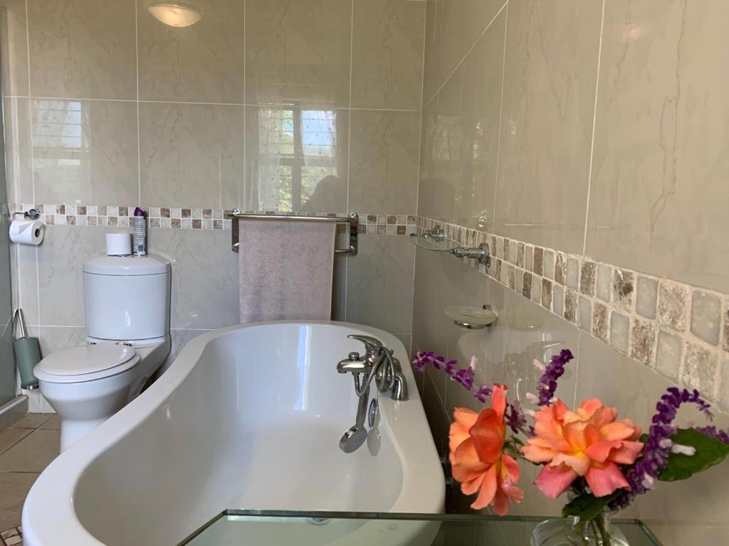 Mountain Rose Guesthouse Louis Trichardt Εξωτερικό φωτογραφία
